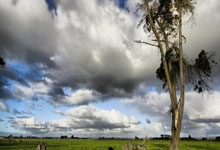 九游娱乐官网:女乒冠军不少,为什么用户偏爱孙颖莎,她有多厉害你想象不到.